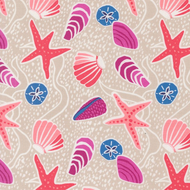 Sea Shells Sand