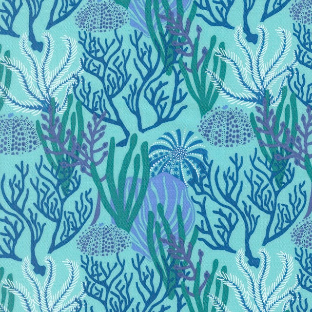 Coral Reef Algae