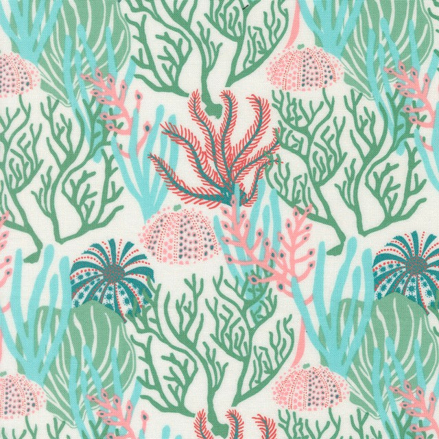 Coral Reef Seaweed