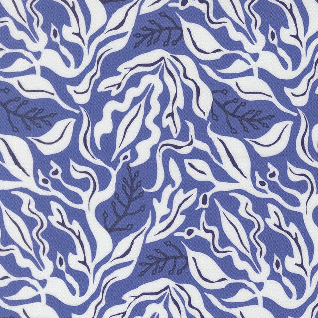 Under the Sea Blue Whale