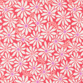 Bloom Crab