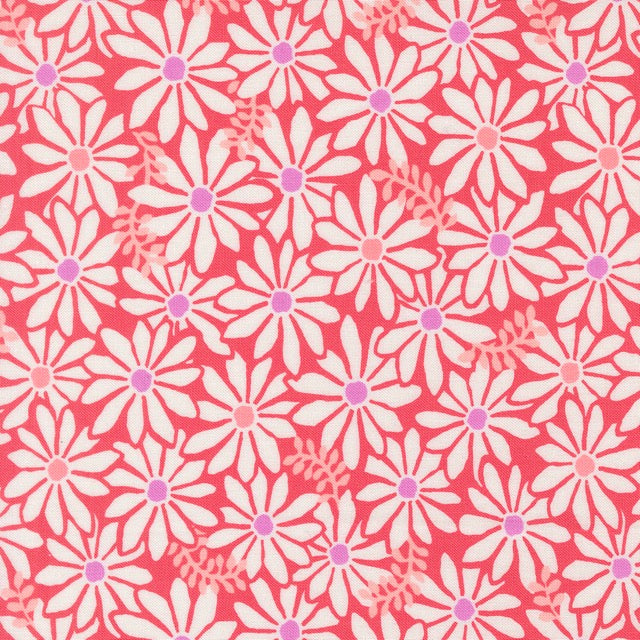 Bloom Crab
