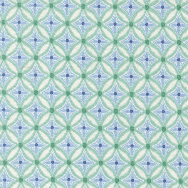 Medallion Algae