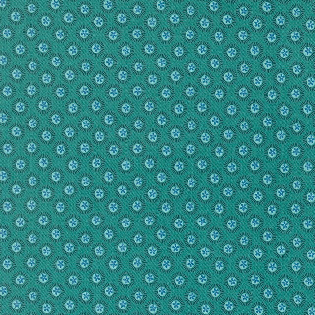 Sand Dollar Horizon